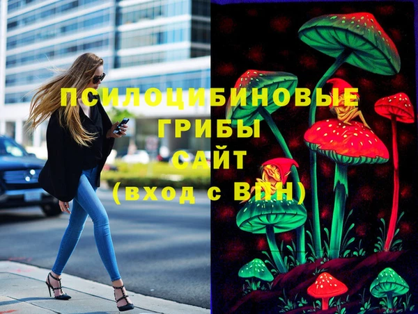 дурь Армянск