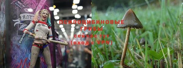 прущая мука Аркадак